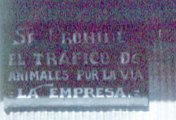 Chiloe2000animalsignin1949