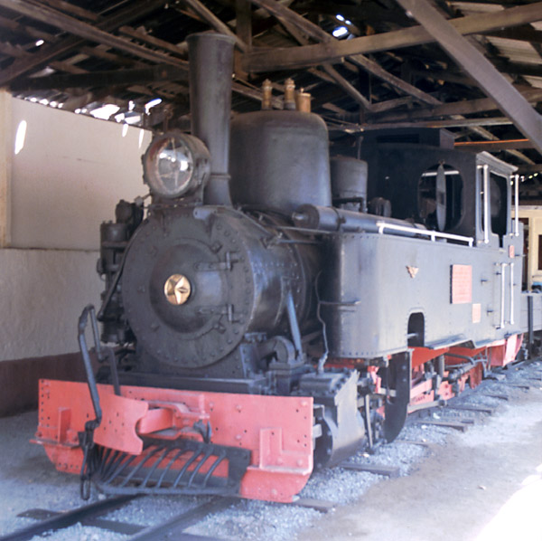 Chiloe2000locoatPuenteAlto2